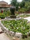 Sea Garden Resort - Haad Rin - Koh Phangan