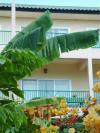 Vimarn Samut Resort f�r 3000 Bath