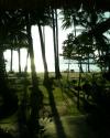 Jinda Bay Resort - Haad Chao Phao - Koh Phangan