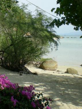 Cookies Bungalow Bungalow Koh Phangan