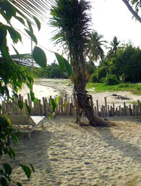 No Name Ban Tai Ferienhaus Bungalow Koh Phangan