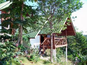Tantawan Bungalow Hotel Koh Phangan